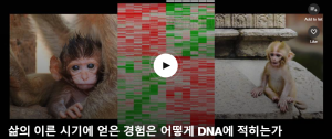 삶의 이른 시기에 얻은 경험은 어떻게 DNA에 적히는가