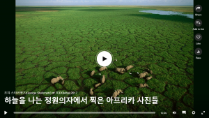 하늘을 나는 정원의자에서 찍은 아프리카 사진들