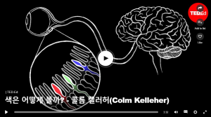 색은 어떻게 볼까? : 콜름 켈러허(Colm Kelleher)