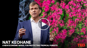 열대림 보호를 위한 새로운 경제모델