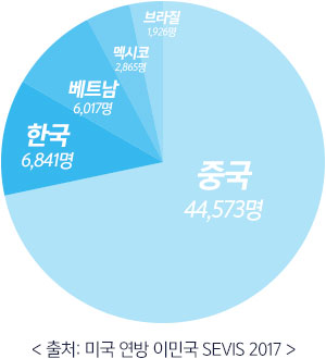 유학생 수 그래프