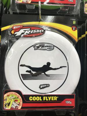 벤쿠버에서 여가생활!! (Frisbee)