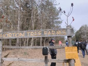 🍀Maple Syrup Farm