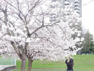 vancouver - 열한번째